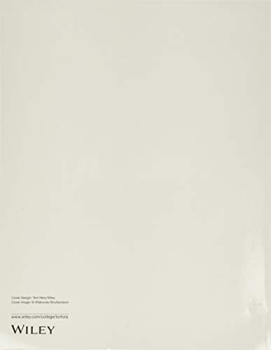 Introduction to the Human Body