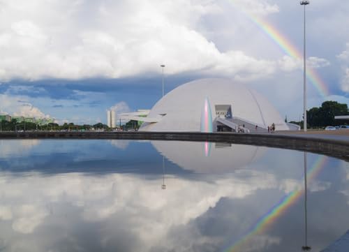 Gisela Colón: Matéria Prima