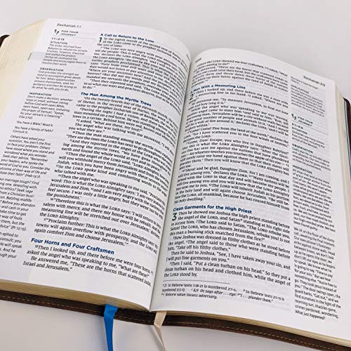 NIV, Lucado Encouraging Word Bible, Leathersoft, Blue, Comfort Print: Holy Bible, New International Version