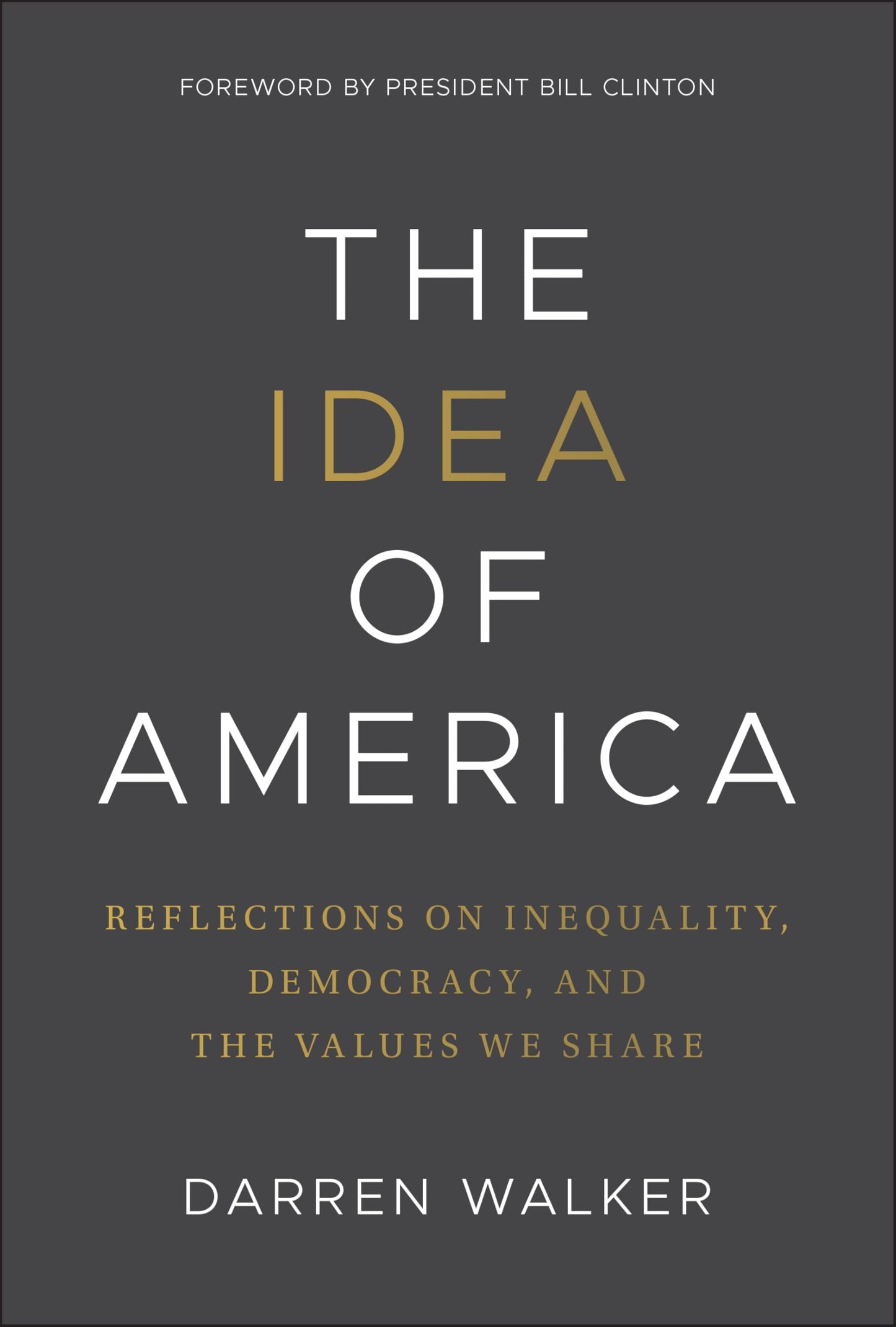 The Idea of America: Reflections on Inequality, Democracy, and the Values We Share