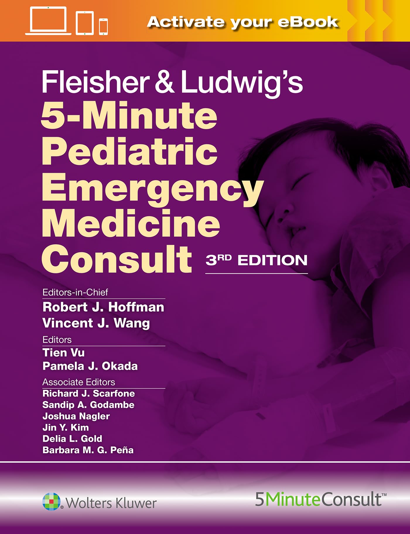 Fleisher & Ludwig's 5 Minute Pediatric Emergency Medicine Consult (The 5-Minute Consult Series)