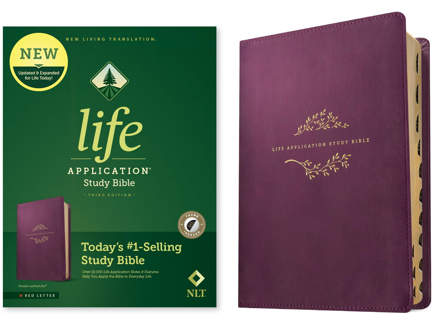 NLT Life Application Study Bible, Third Edition (LeatherLike, Purple, Indexed, Red Letter)