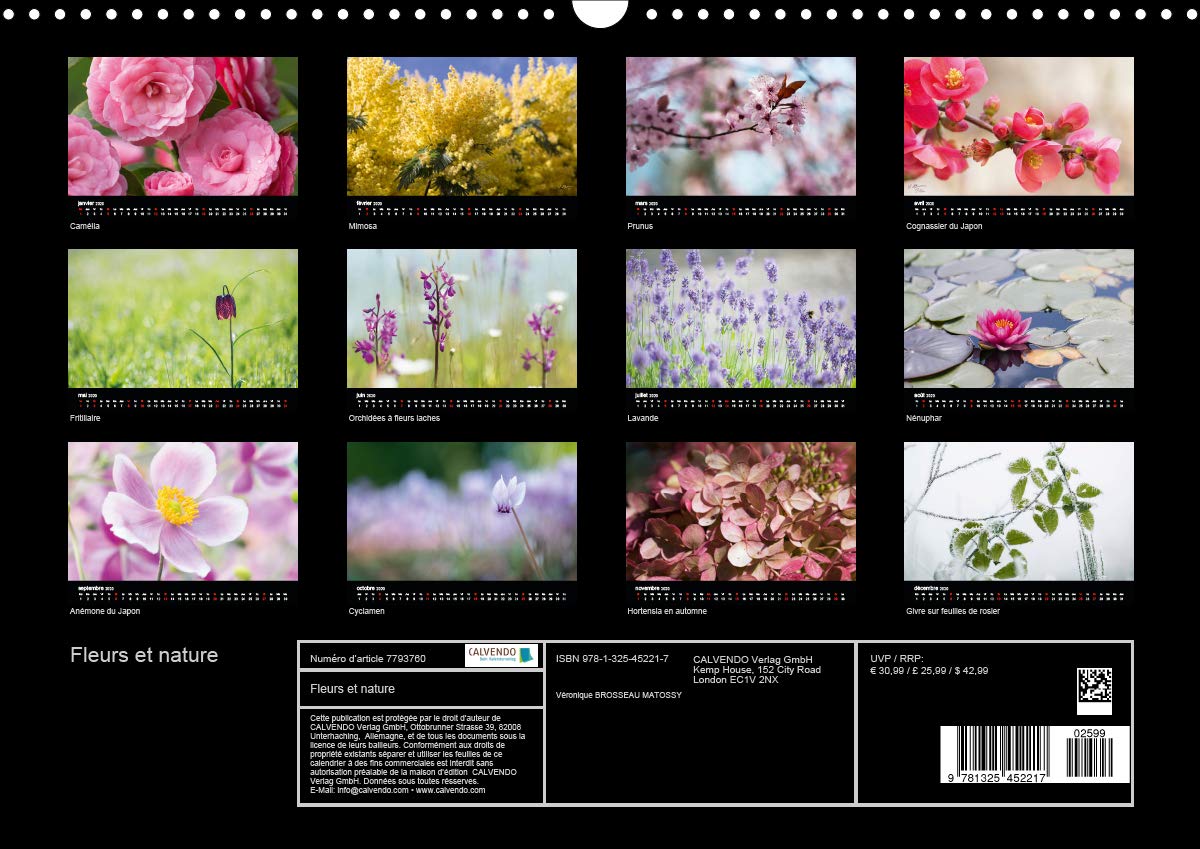 Fleurs et nature 2020: Poesie des fleurs au cours des saisons (Calvendo Nature) (French Edition)