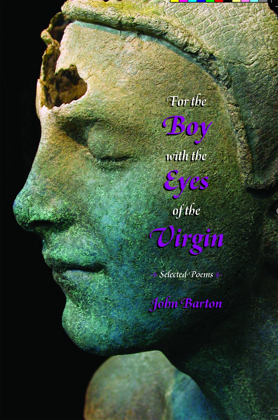 For the Boy with the Eyes of the Virgin: Selected Poems