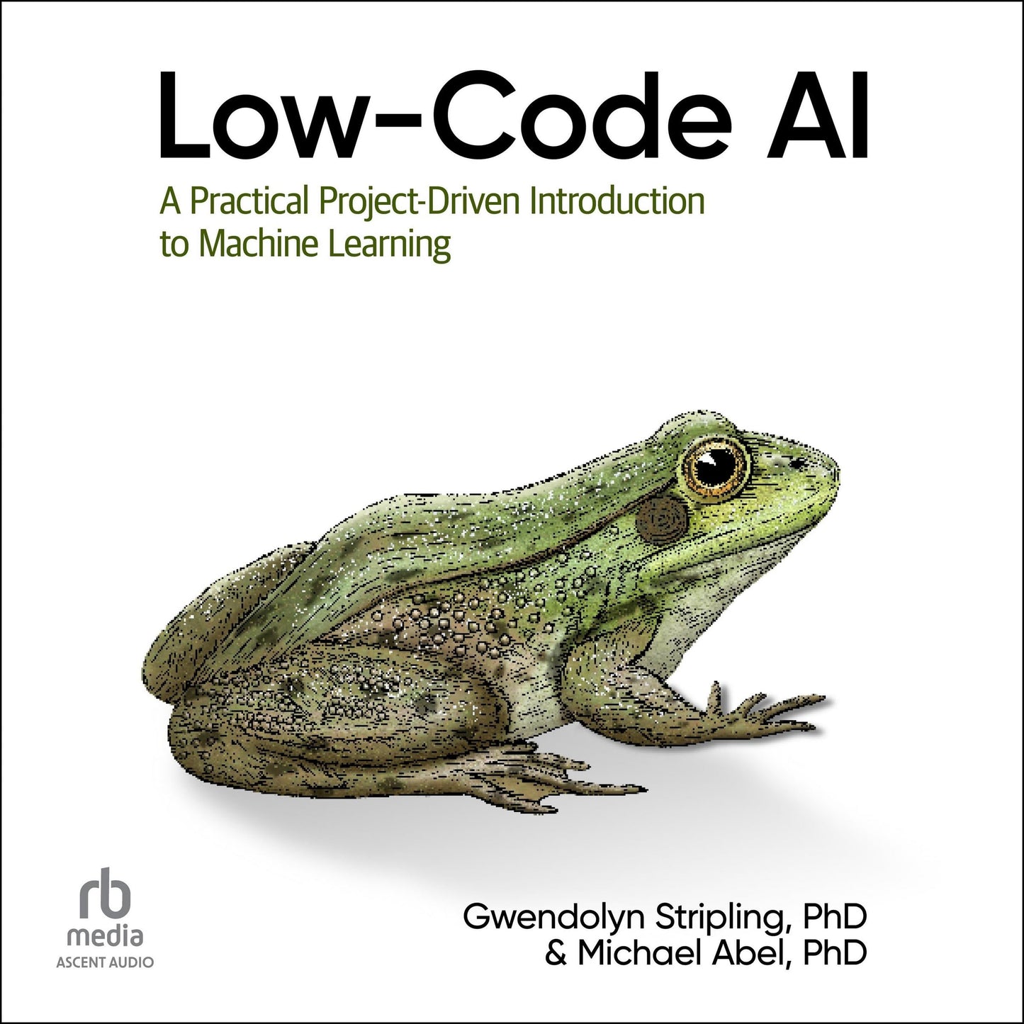 Low-Code AI: A Practical Project-Driven Introduction to Machine Learning