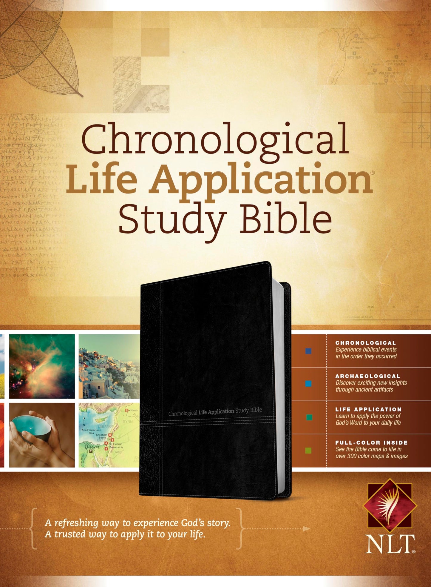 NLT Chronological Life Application Study Bible, TuTone (LeatherLike, Black/Onyx)