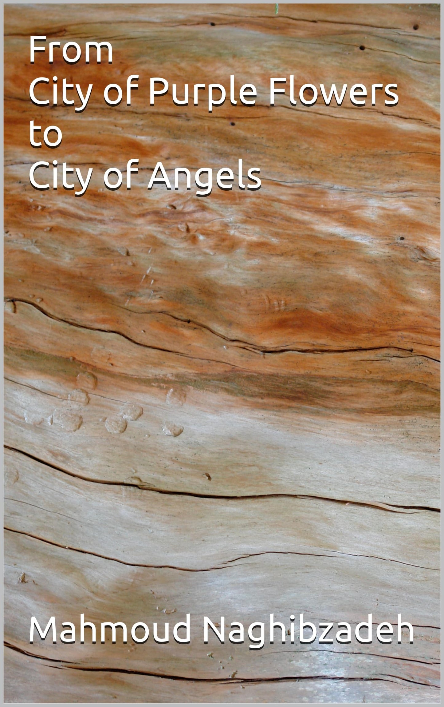 From City of Purple Flowers to City of Angels