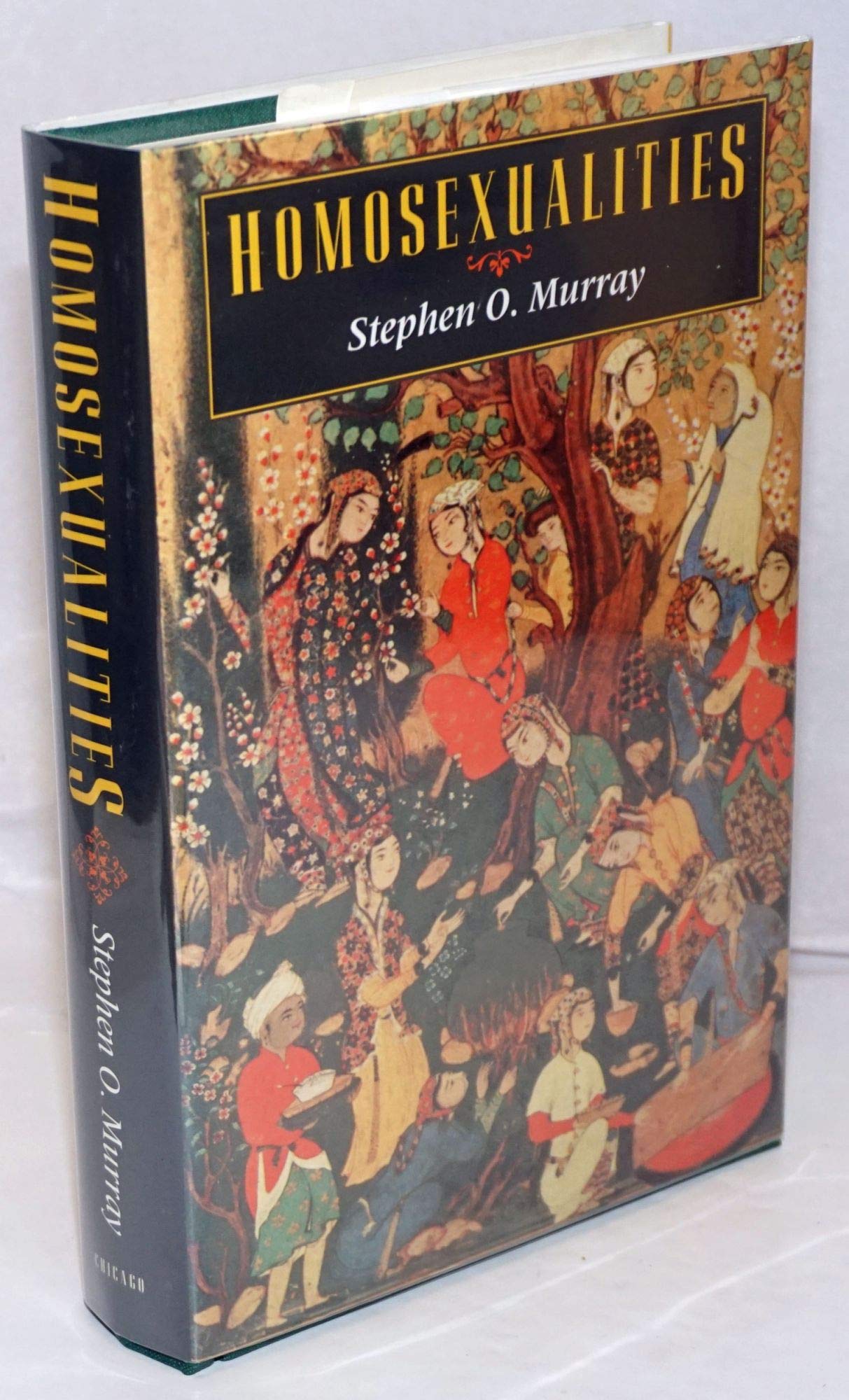 Homosexualities (Worlds of Desire: The Chicago Series on Sexuality, Gender, and Culture)