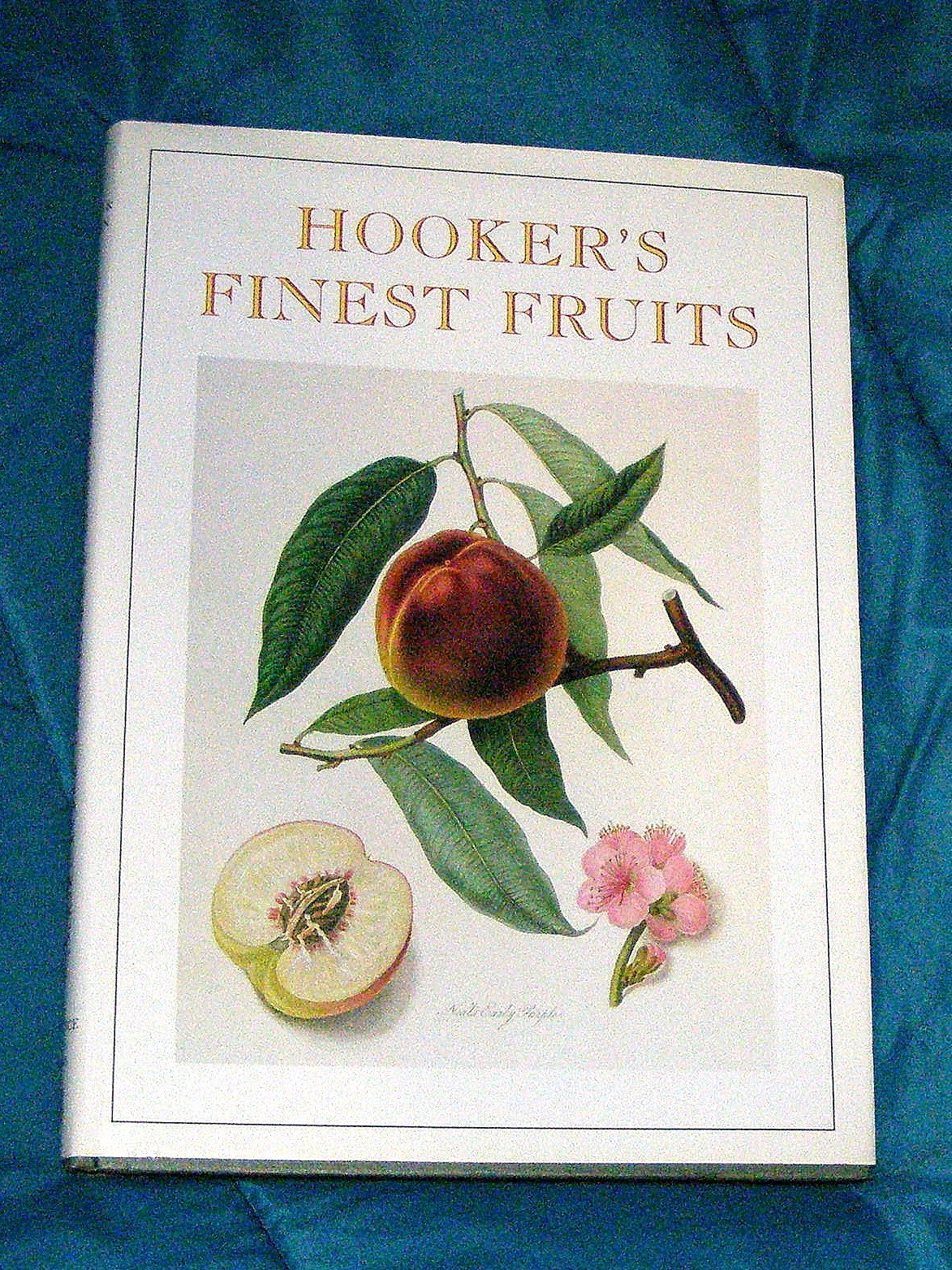 Hooker's Finest Fruit: A Selection of Paintings of Fruits by William Hooker