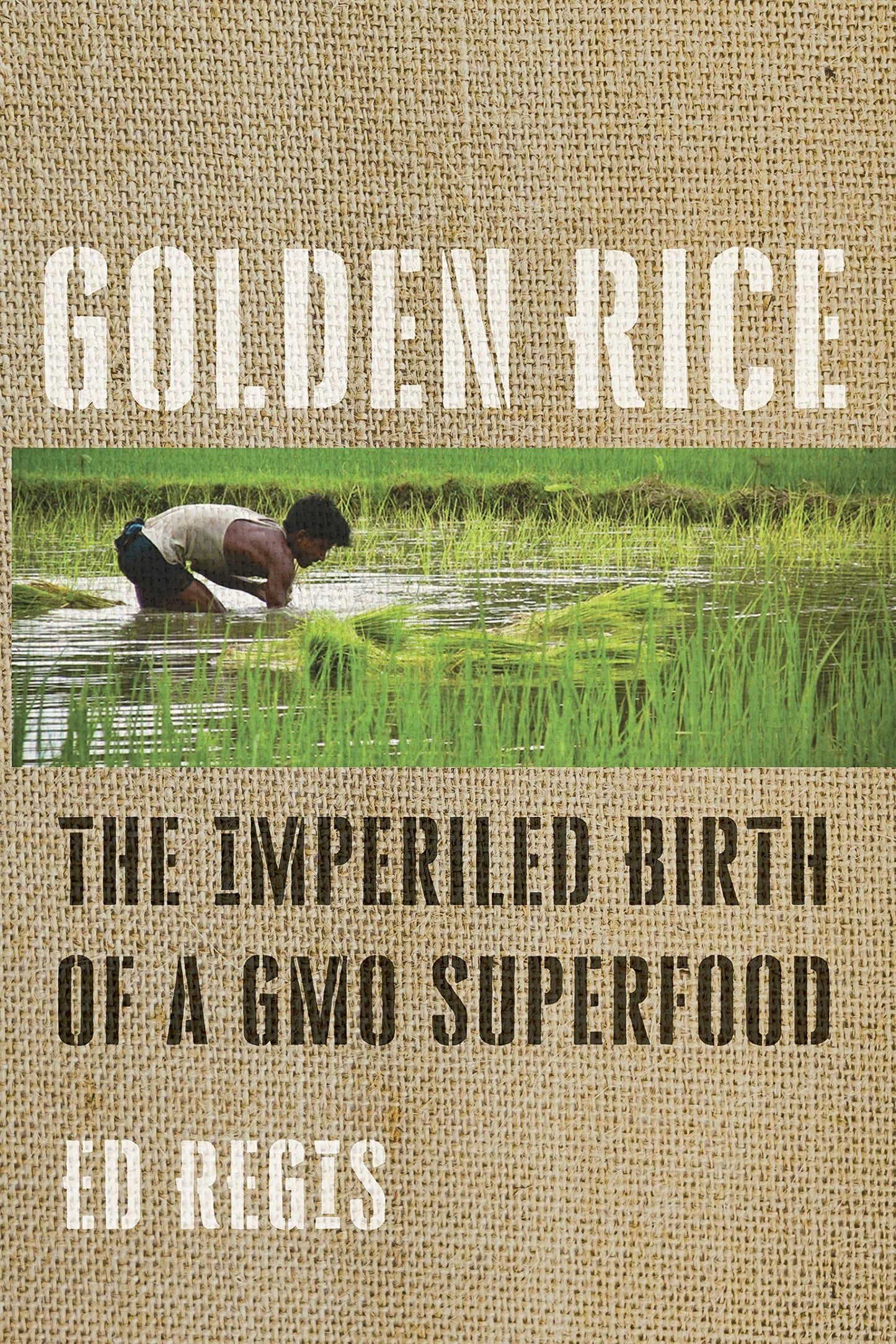 Golden Rice: The Imperiled Birth of a GMO Superfood