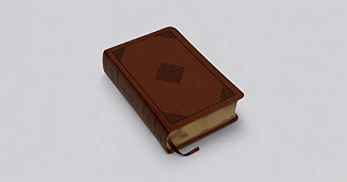 ESV Study Bible, Personal Size (TruTone, Saddle, Ornament Design)