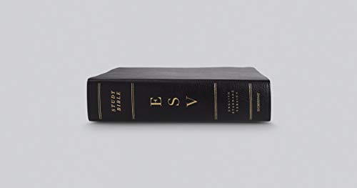 ESV Study Bible (Bonded Leather, Black)