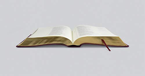 ESV Illuminated Bible, Art Journaling Edition (TruTone, Burgundy)