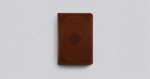 ESV Study Bible, Personal Size (TruTone, Saddle, Ornament Design)