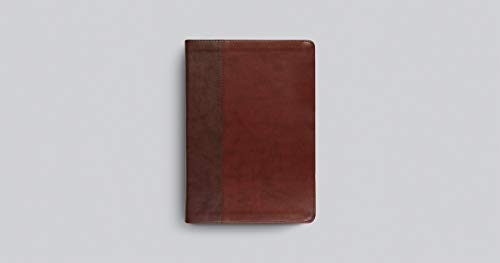 ESV Single Column Journaling Bible, Large Print (TruTone, Burgundy/Red, Timeless Design): Holy Bible, English Standard Version