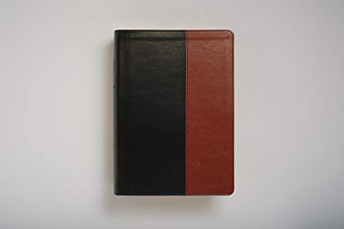 Every Man's Bible NIV, Large Print, TuTone (LeatherLike, Black/Tan)