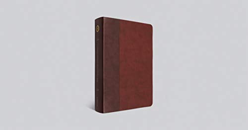 ESV Single Column Journaling Bible, Large Print (TruTone, Burgundy/Red, Timeless Design): Holy Bible, English Standard Version