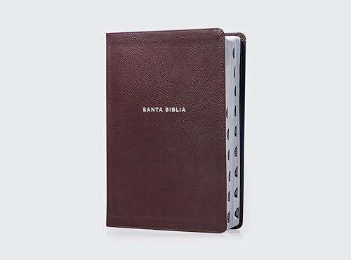 NVI, Biblia de Estudio actualizada, Revisión 2022, Leathersoft, Café, Letra grande, Interior a color, Palabras de Jesús en Rojo, con Índice, Comfort Print (Spanish Edition)