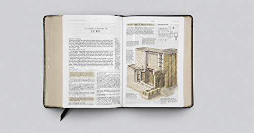 ESV Study Bible (Genuine Leather, Black): Holy Bible, English Standard Version