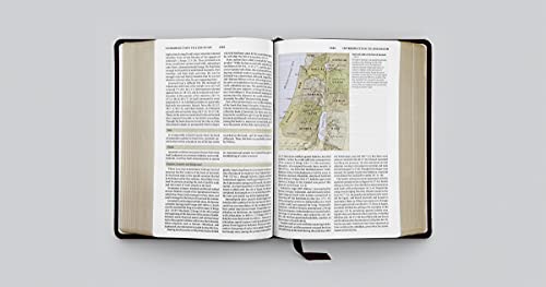 ESV Study Bible (Buffalo Leather, Deep Brown): Holy Bible, English Standard Version