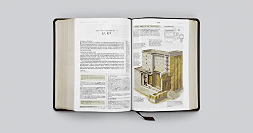 ESV Study Bible (Buffalo Leather, Deep Brown): Holy Bible, English Standard Version