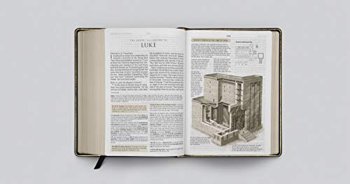 ESV Study Bible, Large Print (Genuine Leather, Black)