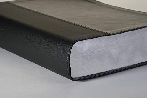 Every Man's Bible: New Living Translation, Large Print, TuTone (LeatherLike, Black/Onyx) – Study Bible for Men with Study Notes, Book Introductions, and 44 Charts
