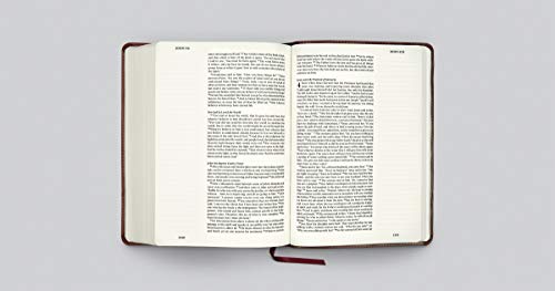 ESV Single Column Journaling Bible, Large Print (TruTone, Burgundy/Red, Timeless Design): Holy Bible, English Standard Version