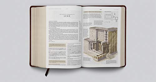 ESV Study Bible, Personal Size (TruTone, Saddle, Ornament Design)