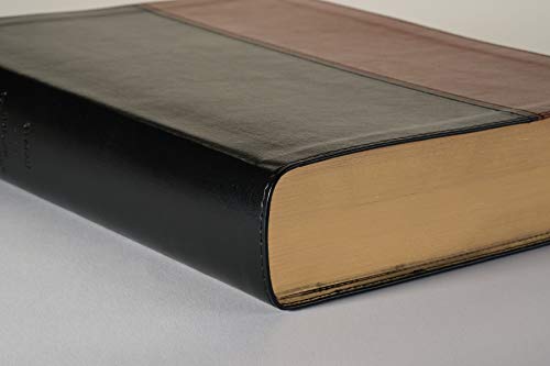 Every Man's Bible NIV, Large Print, TuTone (LeatherLike, Black/Tan)