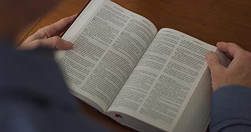 ESV German/English Parallel Bible (Luther/ESV, Dark Red)