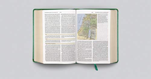 ESV Study Bible, Personal Size (TruTone, Turquoise, Emblem Design)