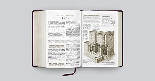 ESV Study Bible, Large Print (Bonded Leather, Burgundy): Holy Bible, English Standard Version