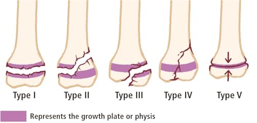 The Practitioner's Pocket Pal: A "Made Ridiculously Simple" Rapid Medical Reference