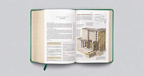 ESV Study Bible, Personal Size (TruTone, Turquoise, Emblem Design)