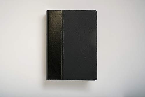 Every Man's Bible NIV, Large Print, TuTone (LeatherLike, Onyx/Black)