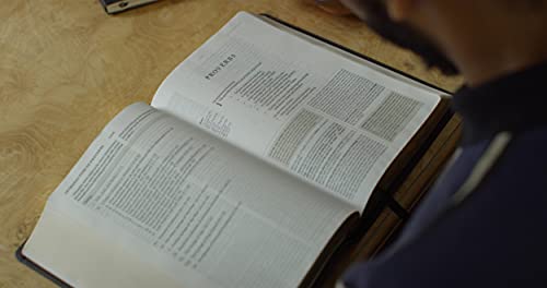 ESV Study Bible (Buffalo Leather, Deep Brown): Holy Bible, English Standard Version