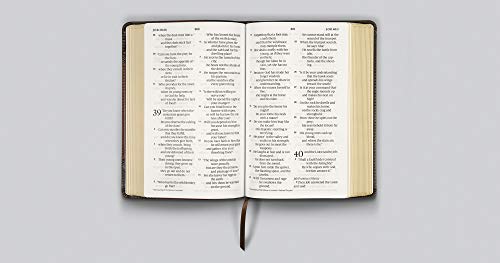 ESV Large Print Personal Size Bible (Black)