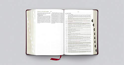 ESV Study Bible, Large Print (TruTone, Mahogany, Trellis Design, Indexed)