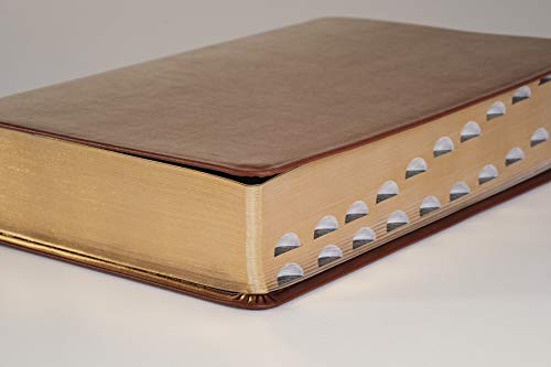 NLT Personal Size Giant Print Bible, Filament Enabled (Genuine Leather, Brown, Indexed, Red Letter): Includes Free Access to the Filament Bible App ... Notes, Devotionals, Worship Music, and Video