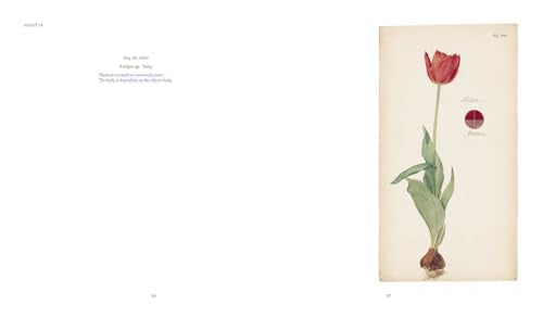 Hilma af Klint: What Stands Behind the Flowers