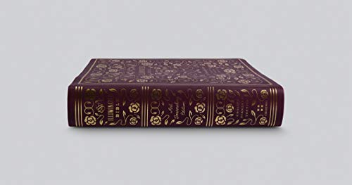 ESV Illuminated Bible, Art Journaling Edition (TruTone, Burgundy)