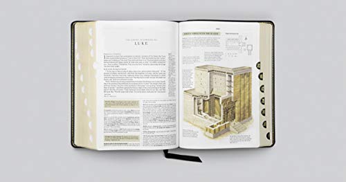 ESV Study Bible (Black, Indexed)