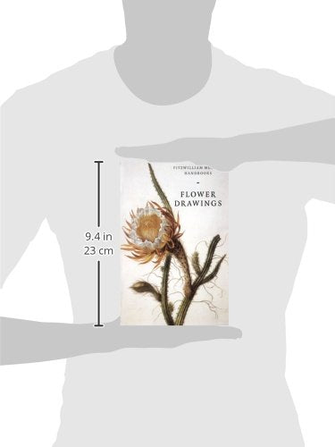 Flower Drawings (Fitzwilliam Museum Handbooks)