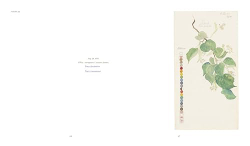 Hilma af Klint: What Stands Behind the Flowers