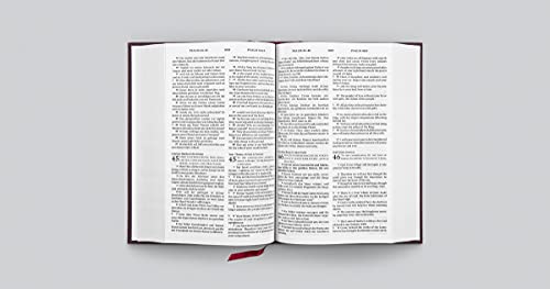 ESV German/English Parallel Bible (Luther/ESV, Dark Red)