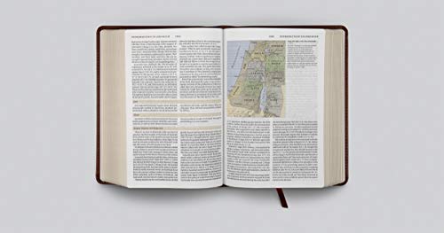 ESV Study Bible, Personal Size (TruTone, Saddle, Ornament Design)