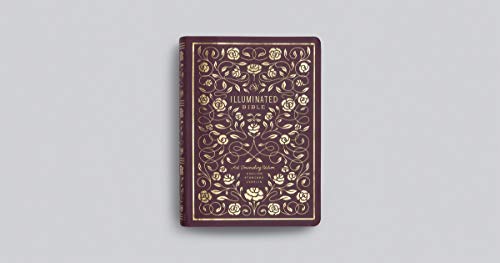 ESV Illuminated Bible, Art Journaling Edition (TruTone, Burgundy)