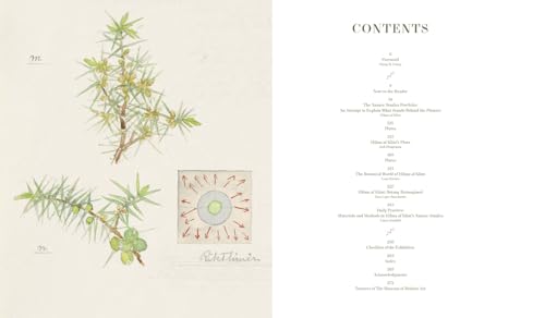 Hilma af Klint: What Stands Behind the Flowers