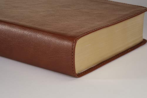 NLT Personal Size Giant Print Bible, Filament Enabled (Genuine Leather, Brown, Indexed, Red Letter): Includes Free Access to the Filament Bible App ... Notes, Devotionals, Worship Music, and Video